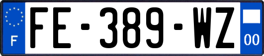 FE-389-WZ