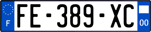 FE-389-XC