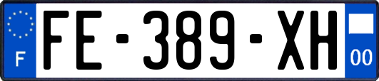 FE-389-XH