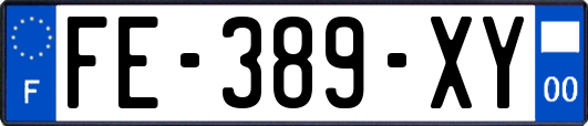 FE-389-XY