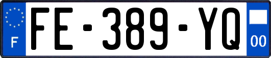 FE-389-YQ