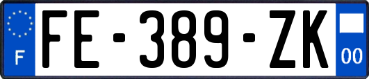 FE-389-ZK