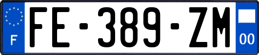 FE-389-ZM