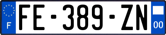 FE-389-ZN