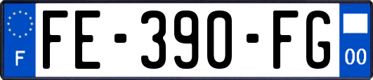 FE-390-FG