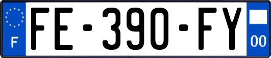 FE-390-FY