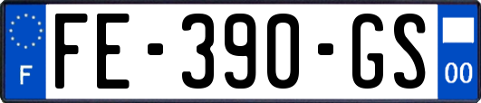 FE-390-GS