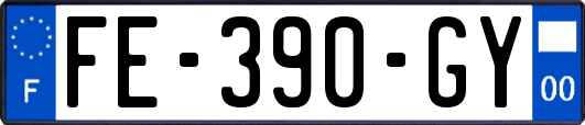 FE-390-GY