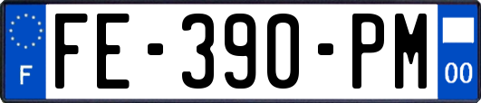 FE-390-PM