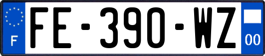 FE-390-WZ