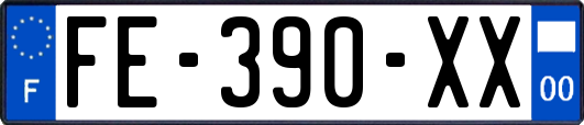 FE-390-XX