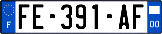 FE-391-AF