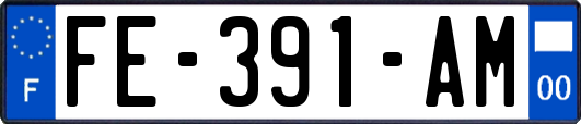 FE-391-AM