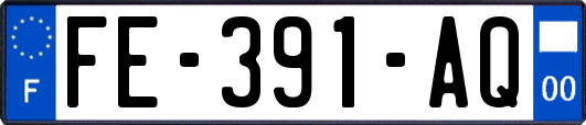 FE-391-AQ