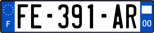 FE-391-AR