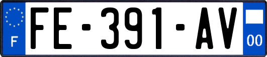 FE-391-AV