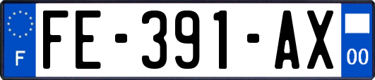 FE-391-AX