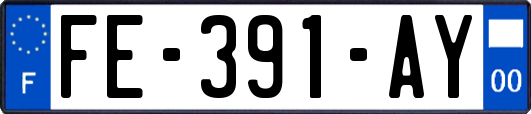 FE-391-AY