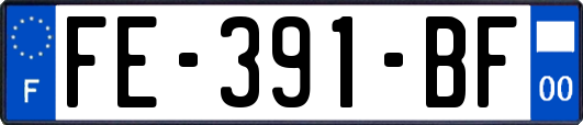 FE-391-BF