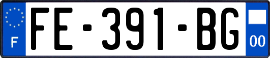 FE-391-BG