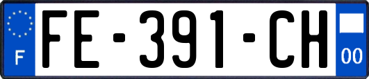 FE-391-CH