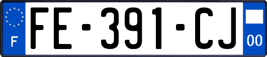 FE-391-CJ