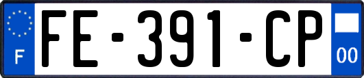 FE-391-CP