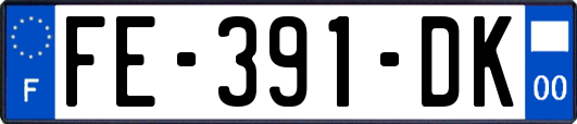 FE-391-DK