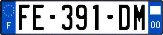FE-391-DM