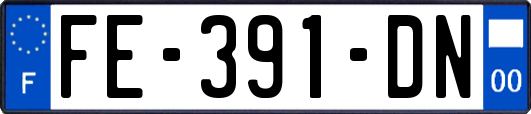 FE-391-DN