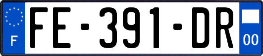 FE-391-DR
