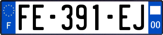 FE-391-EJ