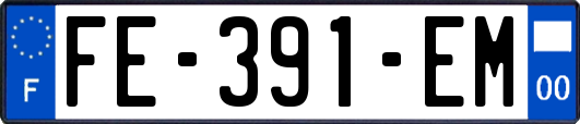FE-391-EM