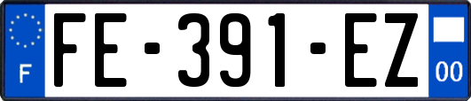 FE-391-EZ