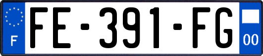 FE-391-FG
