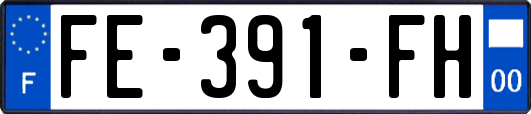 FE-391-FH