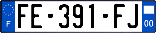 FE-391-FJ
