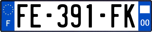 FE-391-FK