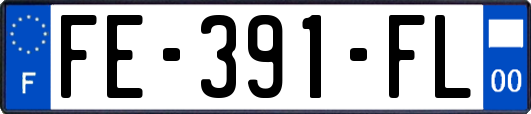 FE-391-FL