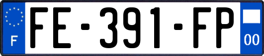FE-391-FP