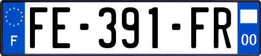 FE-391-FR