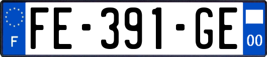 FE-391-GE
