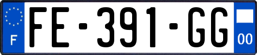 FE-391-GG