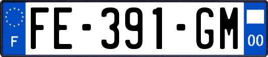 FE-391-GM