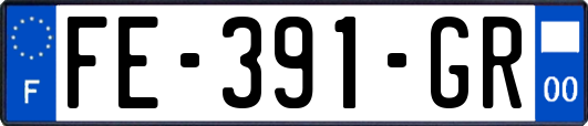 FE-391-GR