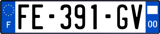 FE-391-GV