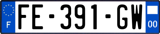 FE-391-GW