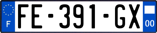 FE-391-GX