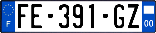 FE-391-GZ