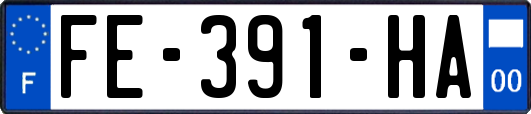 FE-391-HA